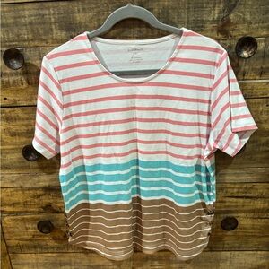 Bonworth‎ Striped Pink, Blue, and Brown Women's Top